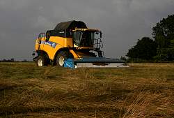 Harvest_2011_33.JPG