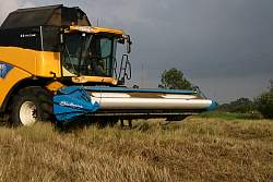 Harvest_2011_34.JPG