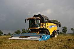 Harvest_2011_35.JPG