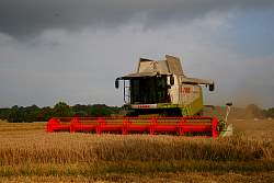 Harvest_2011_38.JPG