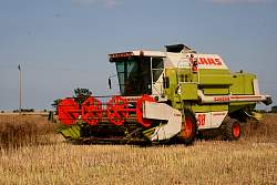 Harvest_2011_45.JPG