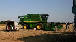 Harvest_2011_48.JPG