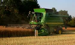 Harvest_2011_52.JPG