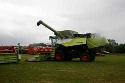 IMG_2178.jpg