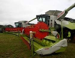IMG_2188.jpg